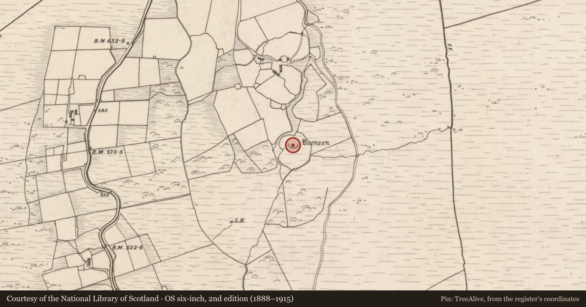 Ordnance Survey six-inch map, 2nd edition (1888–1915) covering the location of Ringfort - rath, Rossacoosane, County Kerry, with a pin at the register's coordinates