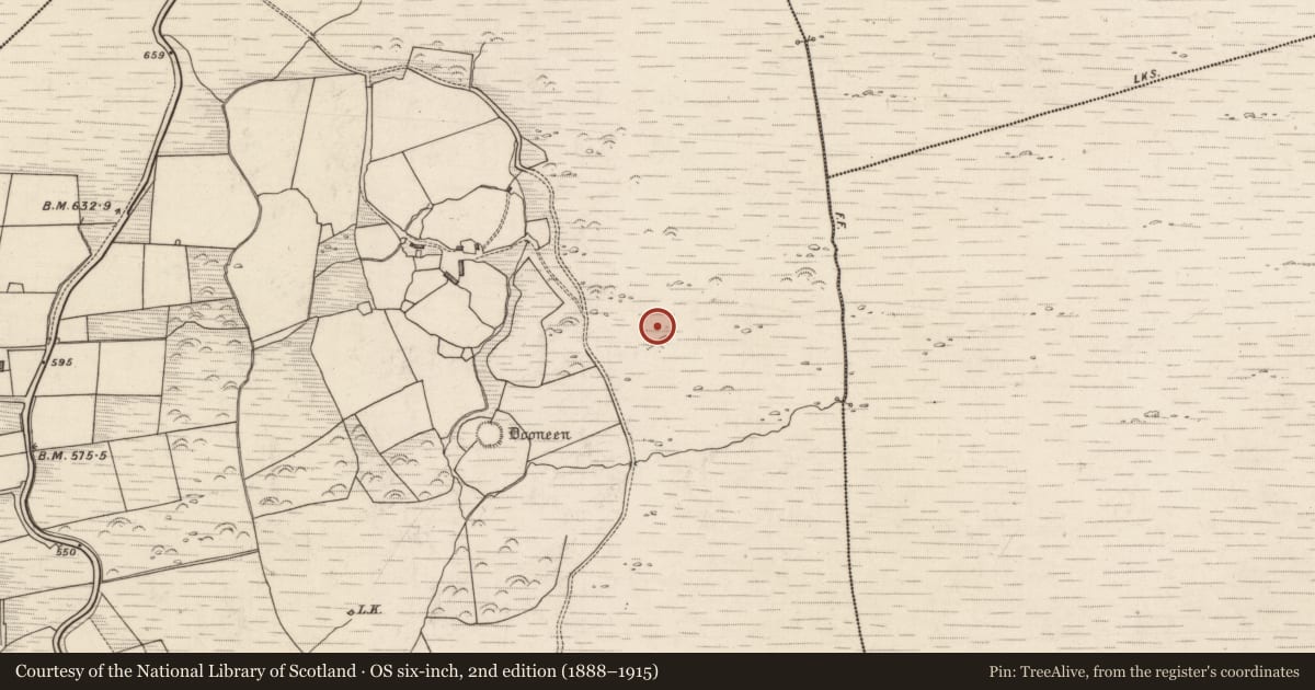 Ordnance Survey six-inch map, 2nd edition (1888–1915) covering the location of Enclosure, Rossacoosane, County Kerry, with a pin at the register's coordinates