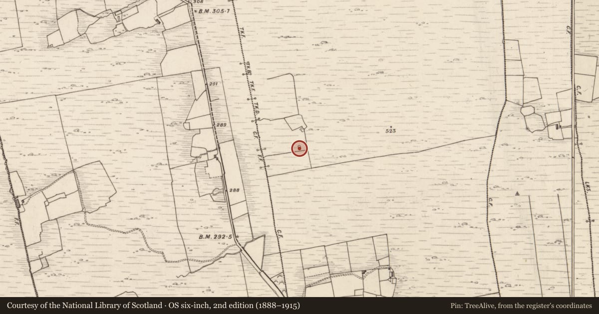 Ordnance Survey six-inch map, 2nd edition (1888–1915) covering the location of Hut site, Dunkerron, County Kerry, with a pin at the register's coordinates