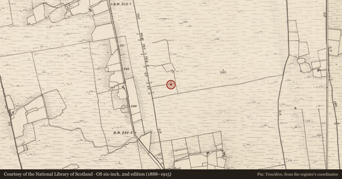 Ordnance Survey six-inch map, 2nd edition (1888–1915) covering the location of Field boundary, Dunkerron, County Kerry, with a pin at the register's coordinates
