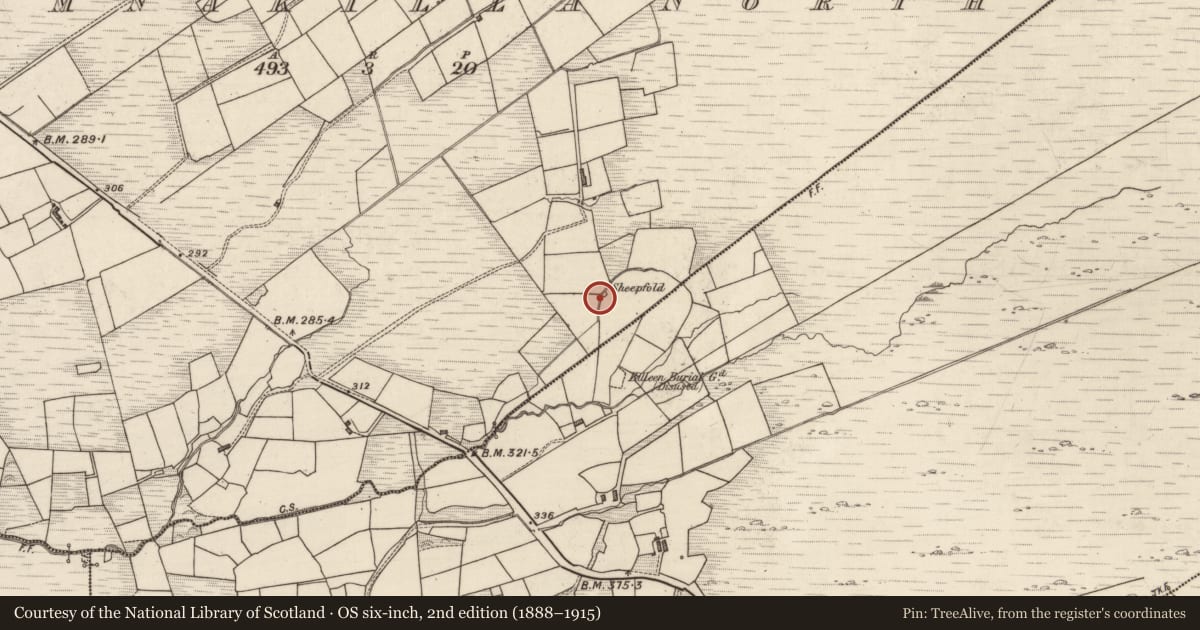 Ordnance Survey six-inch map, 2nd edition (1888–1915) covering the location of Hut site, Coomnakilla North, County Kerry, with a pin at the register's coordinates