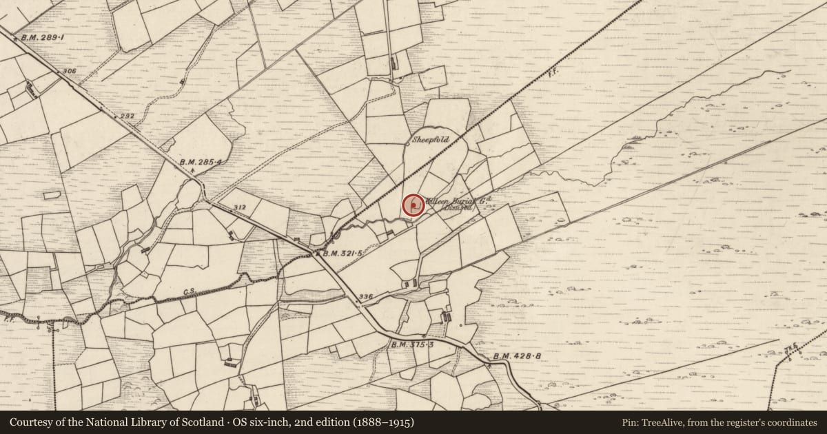 Ordnance Survey six-inch map, 2nd edition (1888–1915) covering the location of Hut site, Coomnakilla South, County Kerry, with a pin at the register's coordinates