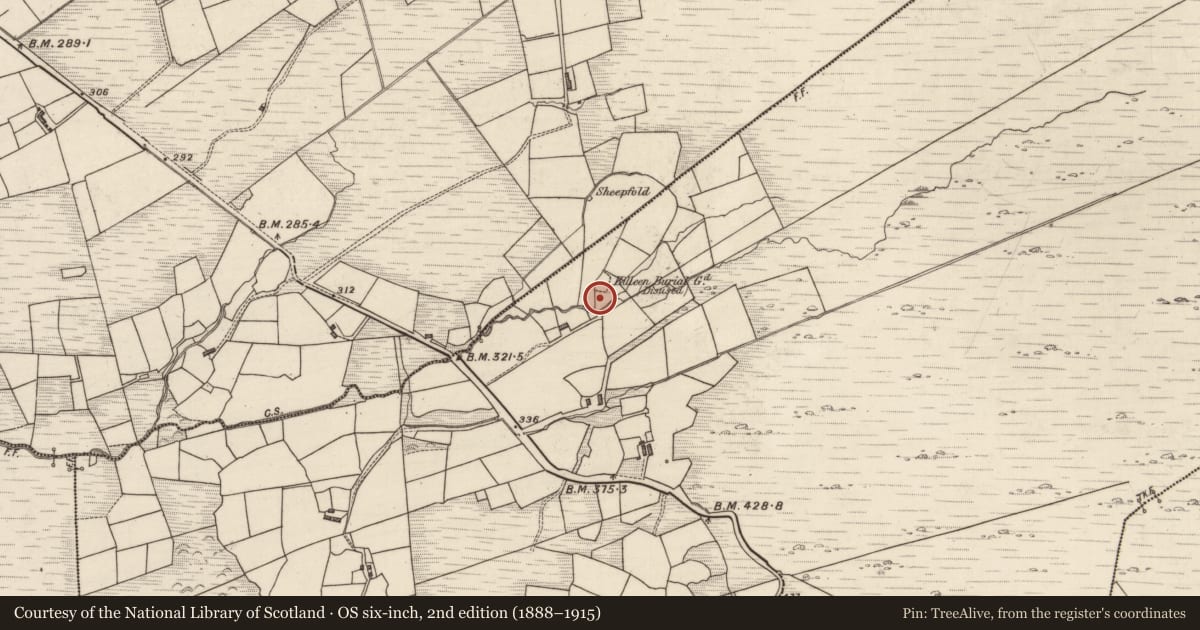 Ordnance Survey six-inch map, 2nd edition (1888–1915) covering the location of Souterrain, Coomnakilla South, County Kerry, with a pin at the register's coordinates