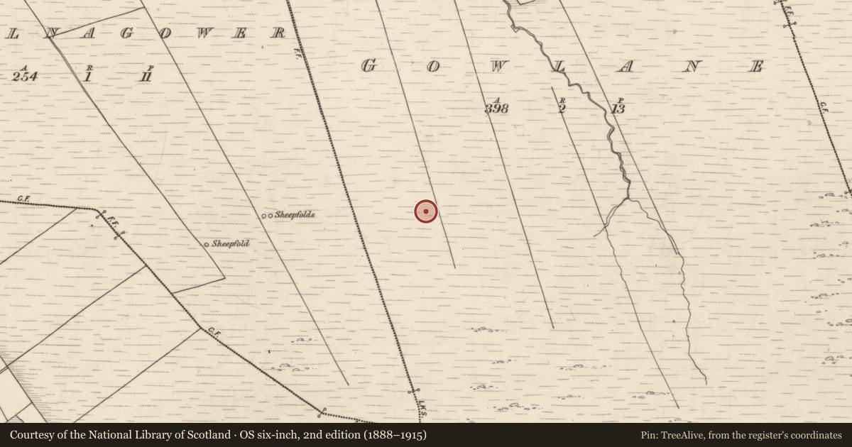 Ordnance Survey six-inch map, 2nd edition (1888–1915) covering the location of Field boundary, Gowlane, County Kerry, with a pin at the register's coordinates