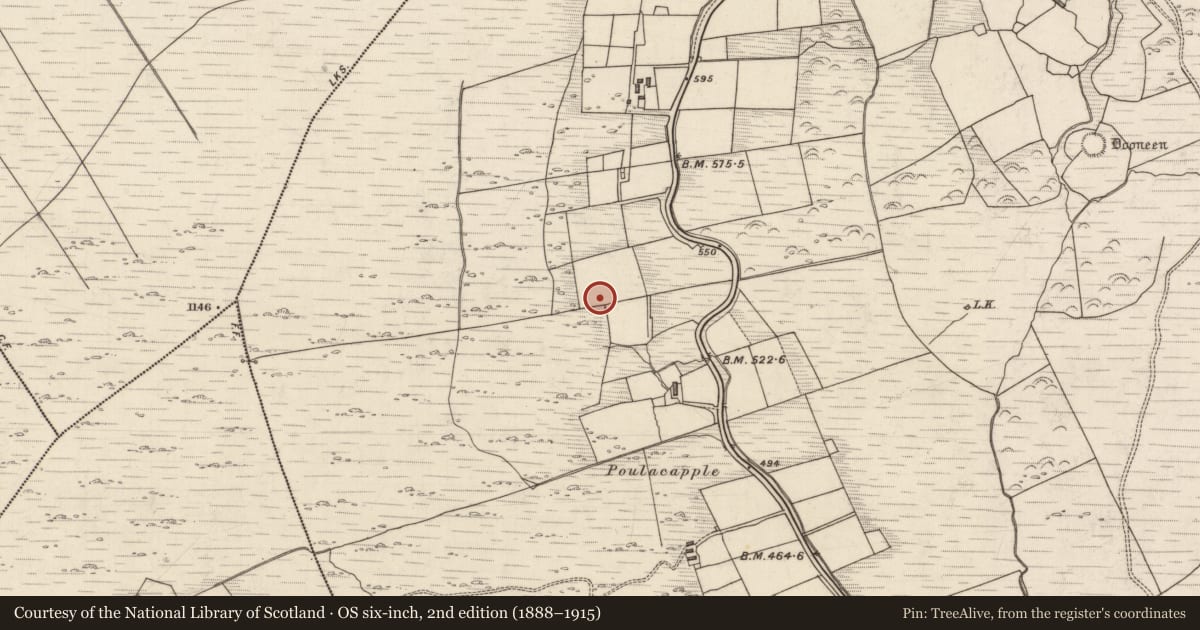 Ordnance Survey six-inch map, 2nd edition (1888–1915) covering the location of Hut site, Rossacoosane, County Kerry, with a pin at the register's coordinates