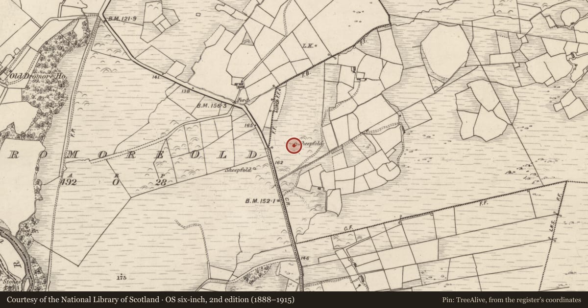 Ordnance Survey six-inch map, 2nd edition (1888–1915) covering the location of Hut site, Coomnakilla South, County Kerry, with a pin at the register's coordinates