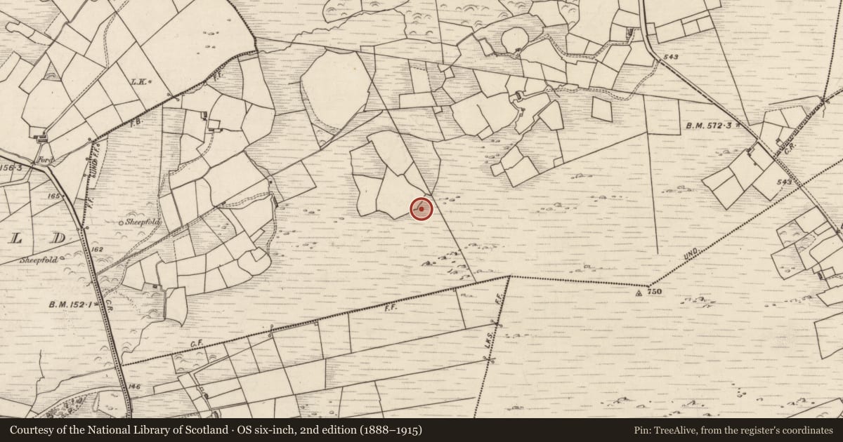 Ordnance Survey six-inch map, 2nd edition (1888–1915) covering the location of Enclosure, Coomnakilla South, County Kerry, with a pin at the register's coordinates