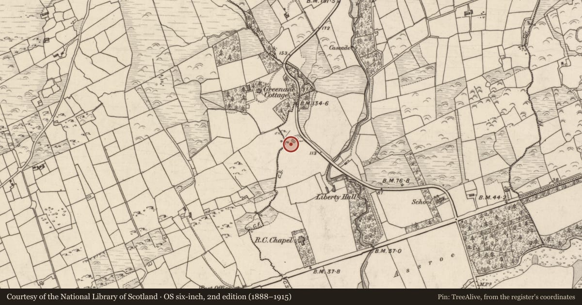 Ordnance Survey six-inch map, 2nd edition (1888–1915) covering the location of Enclosure, Rossacoosane, County Kerry, with a pin at the register's coordinates