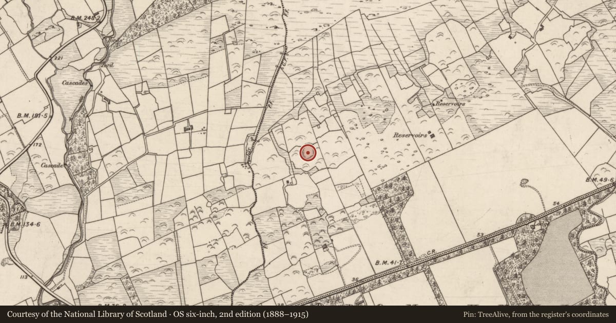 Ordnance Survey six-inch map, 2nd edition (1888–1915) covering the location of Ringfort - rath, Lacka, County Kerry, with a pin at the register's coordinates