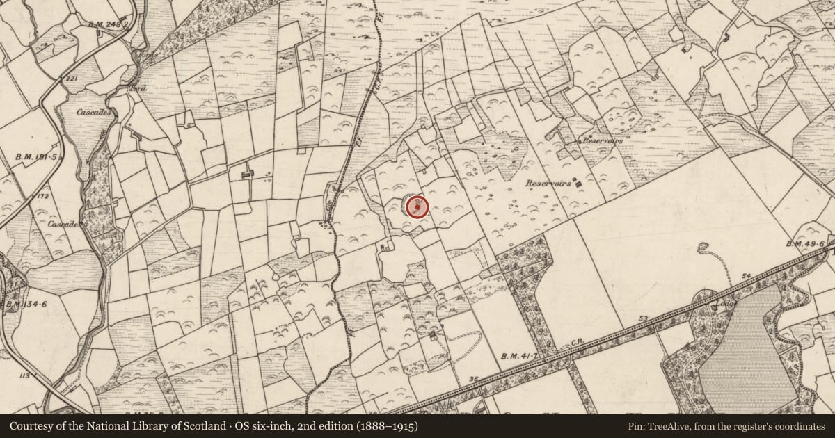 Ordnance Survey six-inch map, 2nd edition (1888–1915) covering the location of Souterrain, Lacka, County Kerry, with a pin at the register's coordinates