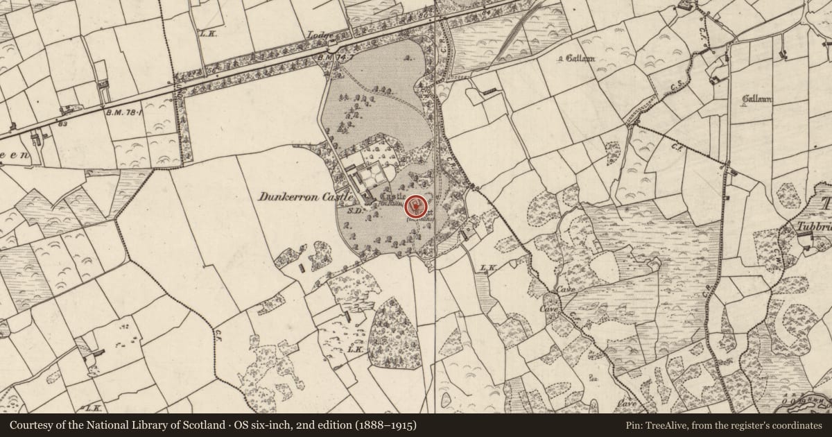 Ordnance Survey six-inch map, 2nd edition (1888–1915) covering the location of Castle - tower house, Dunkerron, County Kerry, with a pin at the register's coordinates