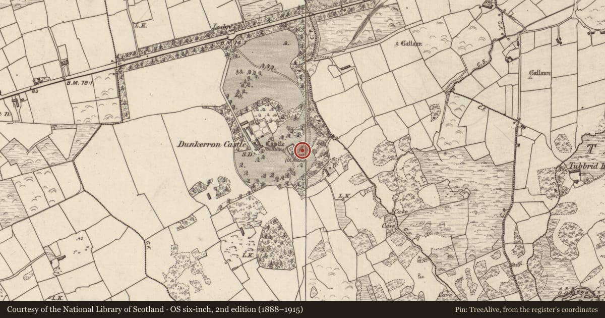 Ordnance Survey six-inch map, 2nd edition (1888–1915) covering the location of Architectural fragment, Dunkerron, County Kerry, with a pin at the register's coordinates