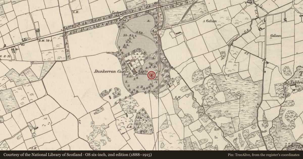 Ordnance Survey six-inch map, 2nd edition (1888–1915) covering the location of Bawn, Dunkerron, County Kerry, with a pin at the register's coordinates