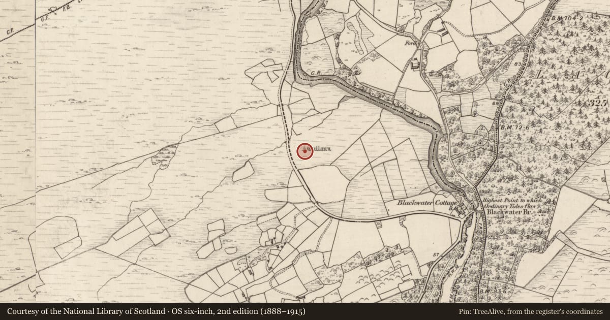 Ordnance Survey six-inch map, 2nd edition (1888–1915) covering the location of Standing stone - pair, Derreenafoyle, County Kerry, with a pin at the register's coordinates