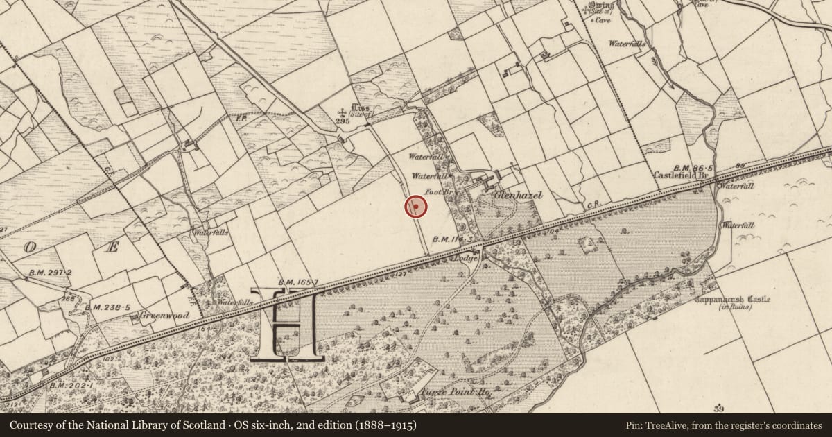 Ordnance Survey six-inch map, 2nd edition (1888–1915) covering the location of Kiln - lime, Cappanacush West, County Kerry, with a pin at the register's coordinates