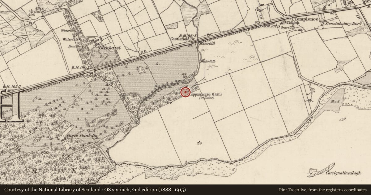 Ordnance Survey six-inch map, 2nd edition (1888–1915) covering the location of Castle - tower house, Dromore, County Kerry, with a pin at the register's coordinates