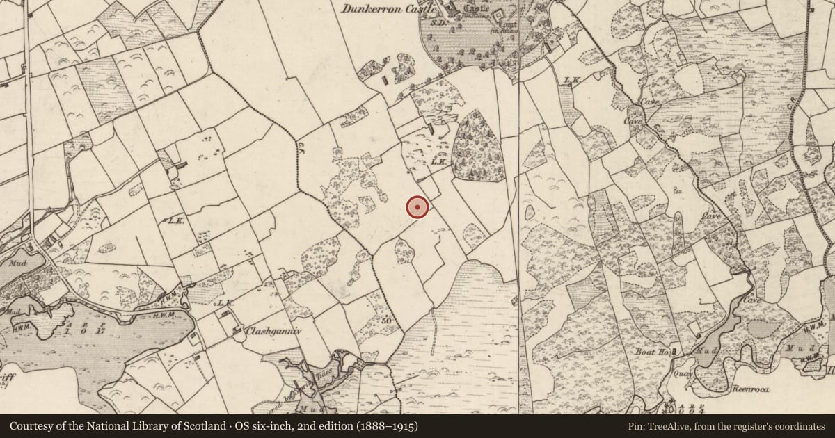 Ordnance Survey six-inch map, 2nd edition (1888–1915) covering the location of Ringfort - cashel, Dunkerron, County Kerry, with a pin at the register's coordinates