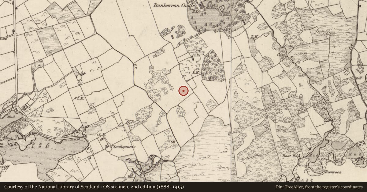 Ordnance Survey six-inch map, 2nd edition (1888–1915) covering the location of Souterrain, Dunkerron, County Kerry, with a pin at the register's coordinates