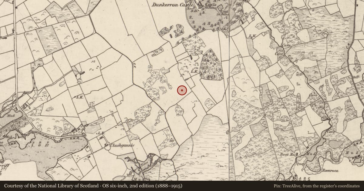 Ordnance Survey six-inch map, 2nd edition (1888–1915) covering the location of Hut site, Dunkerron, County Kerry, with a pin at the register's coordinates