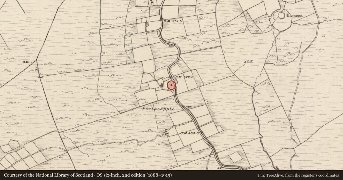 Ordnance Survey six-inch map, 2nd edition (1888–1915) covering the location of Rock art, Rossacoosane, County Kerry, with a pin at the register's coordinates