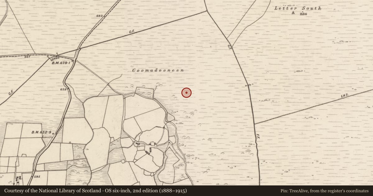 Ordnance Survey six-inch map, 2nd edition (1888–1915) covering the location of Enclosure, Rossacoosane, County Kerry, with a pin at the register's coordinates