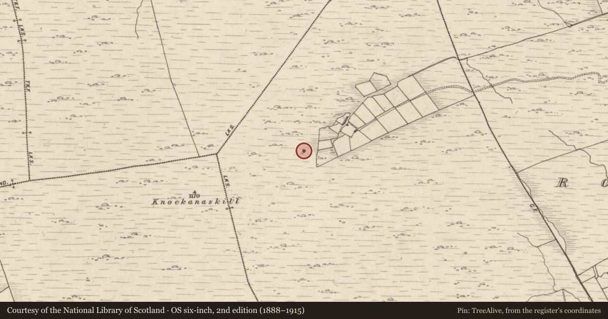 Ordnance Survey six-inch map, 2nd edition (1888–1915) covering the location of Enclosure, Greenane, County Kerry, with a pin at the register's coordinates