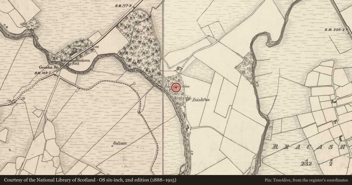 Ordnance Survey six-inch map, 2nd edition (1888–1915) covering the location of Ogham stone, Gearha South, County Kerry, with a pin at the register's coordinates