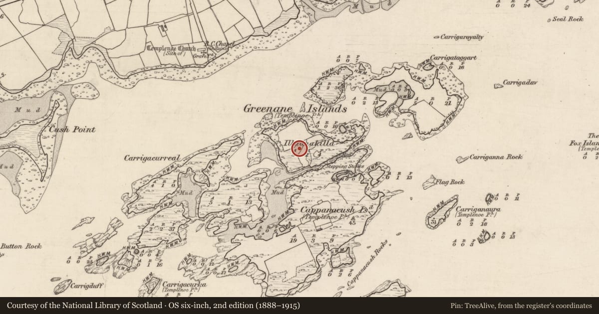 Ordnance Survey six-inch map, 2nd edition (1888–1915) covering the location of Children's burial ground, Greenane Islands, County Kerry, with a pin at the register's coordinates