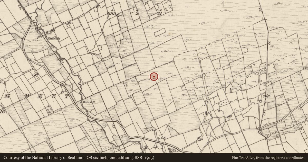 Ordnance Survey six-inch map, 2nd edition (1888–1915) covering the location of Standing stone, Cappanacush East, County Kerry, with a pin at the register's coordinates