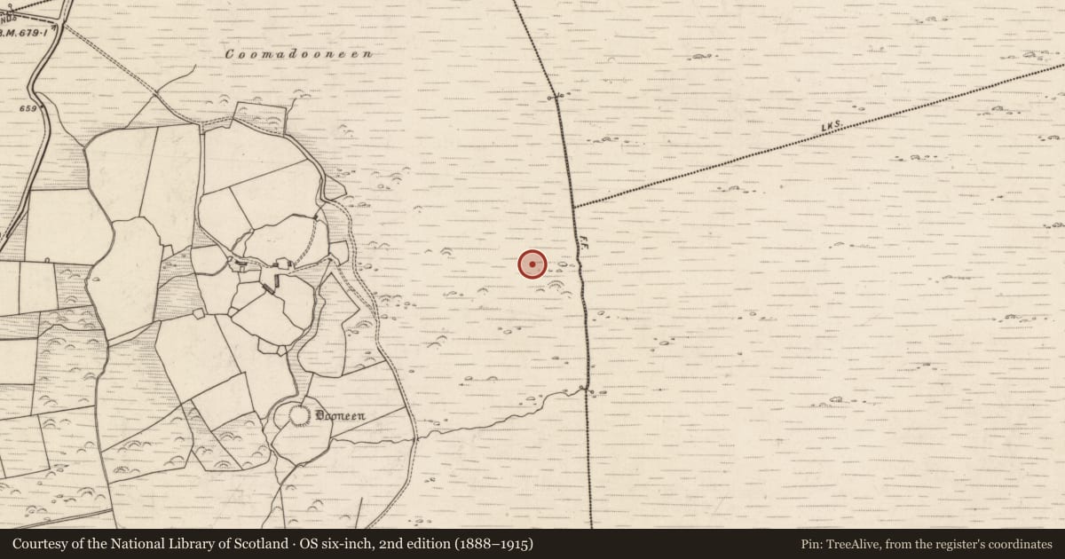 Ordnance Survey six-inch map, 2nd edition (1888–1915) covering the location of Hut site, Rossacoosane, County Kerry, with a pin at the register's coordinates
