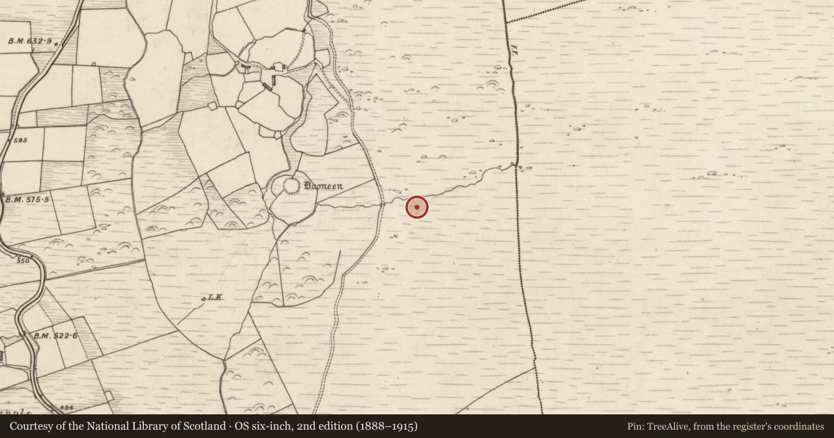 Ordnance Survey six-inch map, 2nd edition (1888–1915) covering the location of Hut site, Rossacoosane, County Kerry, with a pin at the register's coordinates