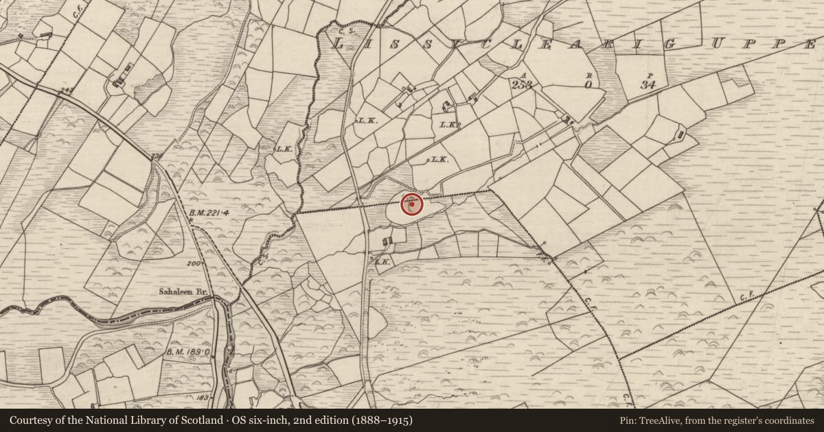 Ordnance Survey six-inch map, 2nd edition (1888–1915) covering the location of Ringfort - rath, Lissyclearig Lower, Lissyclearig Upper, County Kerry, with a pin at the register's coordinates