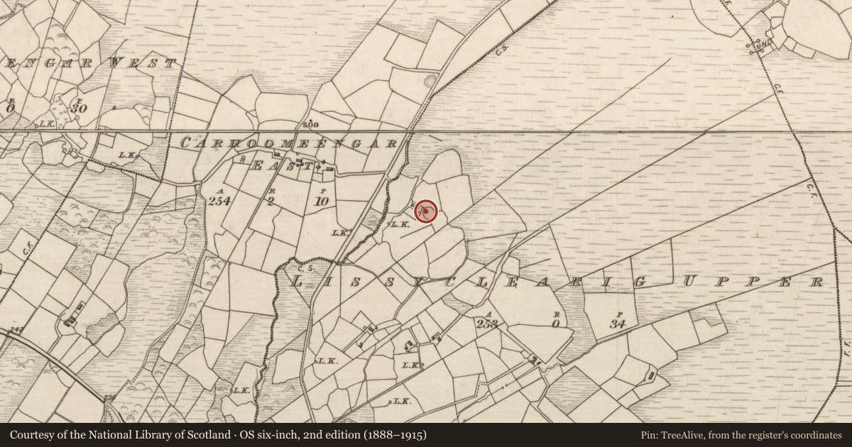 Ordnance Survey six-inch map, 2nd edition (1888–1915) covering the location of Souterrain, Lissyclearig Upper, County Kerry, with a pin at the register's coordinates