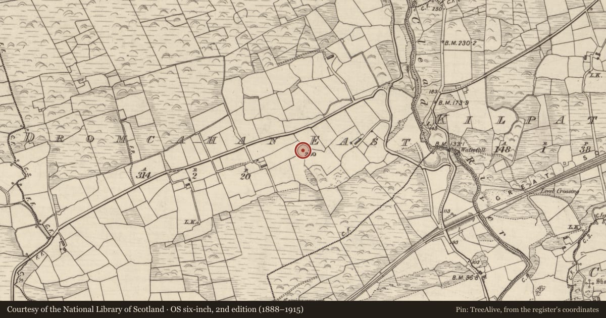 Ordnance Survey six-inch map, 2nd edition (1888–1915) covering the location of Ringfort - rath, Dromcahan East, County Kerry, with a pin at the register's coordinates