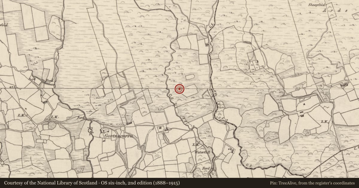 Ordnance Survey six-inch map, 2nd edition (1888–1915) covering the location of Ringfort - cashel, Cooragweanish, County Kerry, with a pin at the register's coordinates