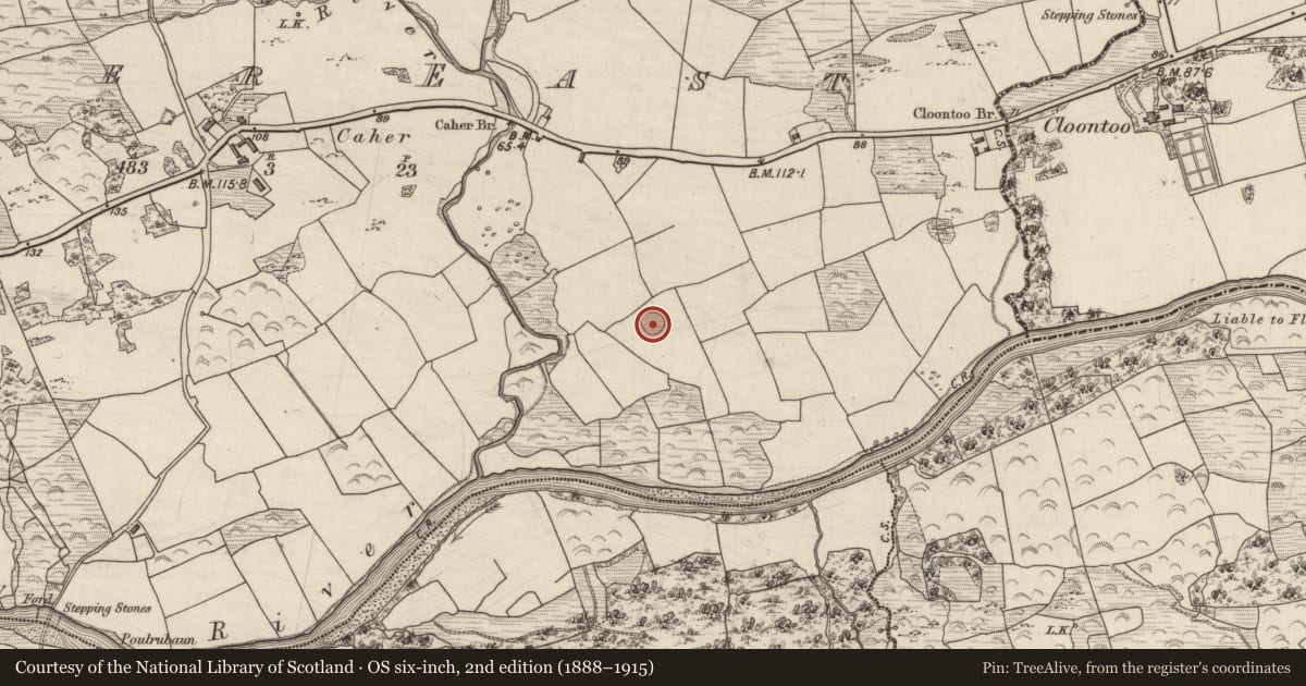 Ordnance Survey six-inch map, 2nd edition (1888–1915) covering the location of Ringfort - rath, Caher East, County Kerry, with a pin at the register's coordinates