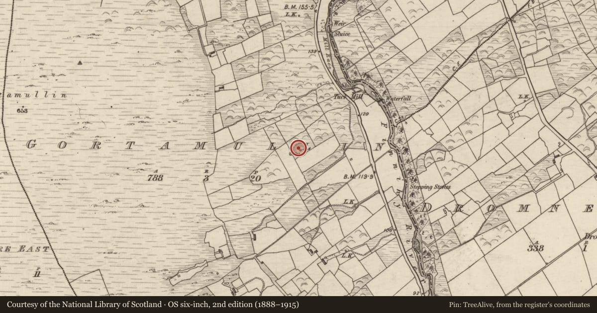 Ordnance Survey six-inch map, 2nd edition (1888–1915) covering the location of Ringfort - rath, Gortamullin, County Kerry, with a pin at the register's coordinates