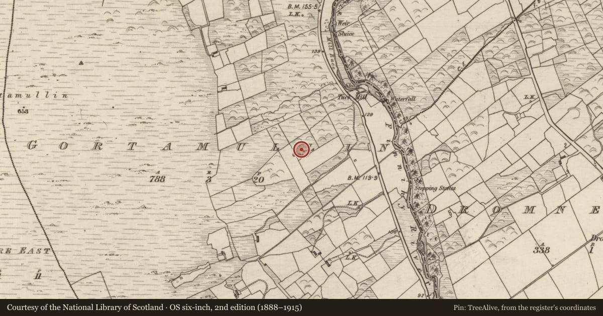 Ordnance Survey six-inch map, 2nd edition (1888–1915) covering the location of Souterrain, Gortamullin, County Kerry, with a pin at the register's coordinates