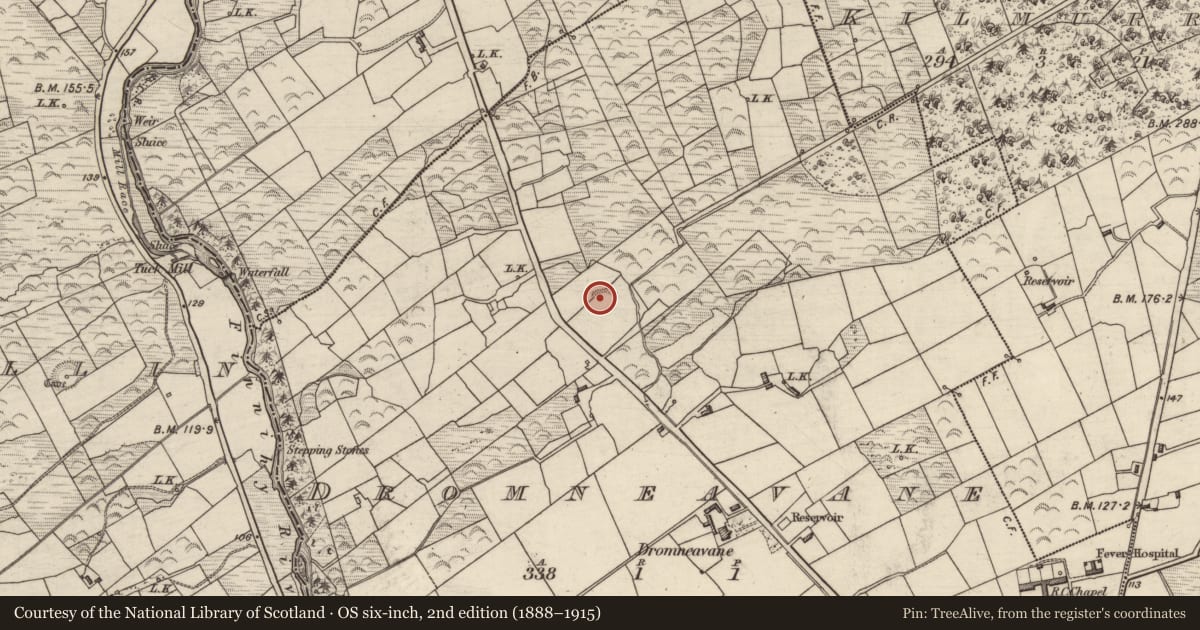 Ordnance Survey six-inch map, 2nd edition (1888–1915) covering the location of Ringfort - rath, Dromneavane, County Kerry, with a pin at the register's coordinates