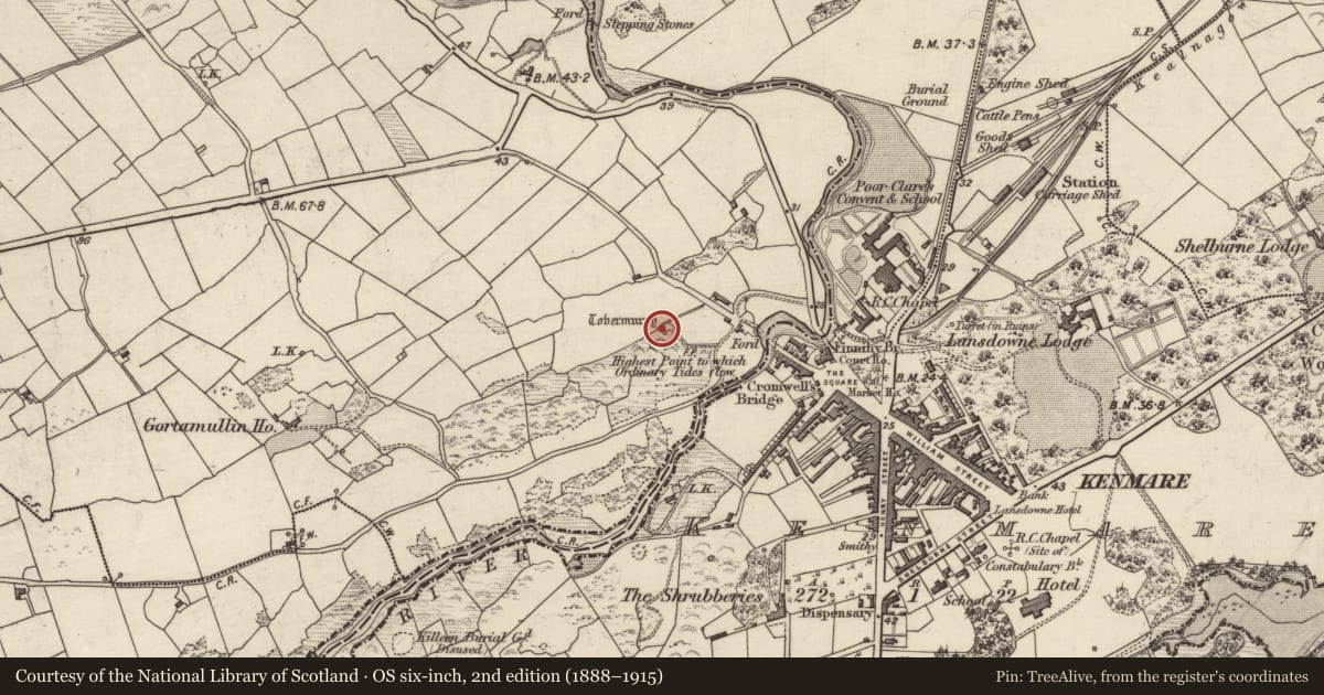 Ordnance Survey six-inch map, 2nd edition (1888–1915) covering the location of Cross-inscribed stone, Gortamullin, County Kerry, with a pin at the register's coordinates