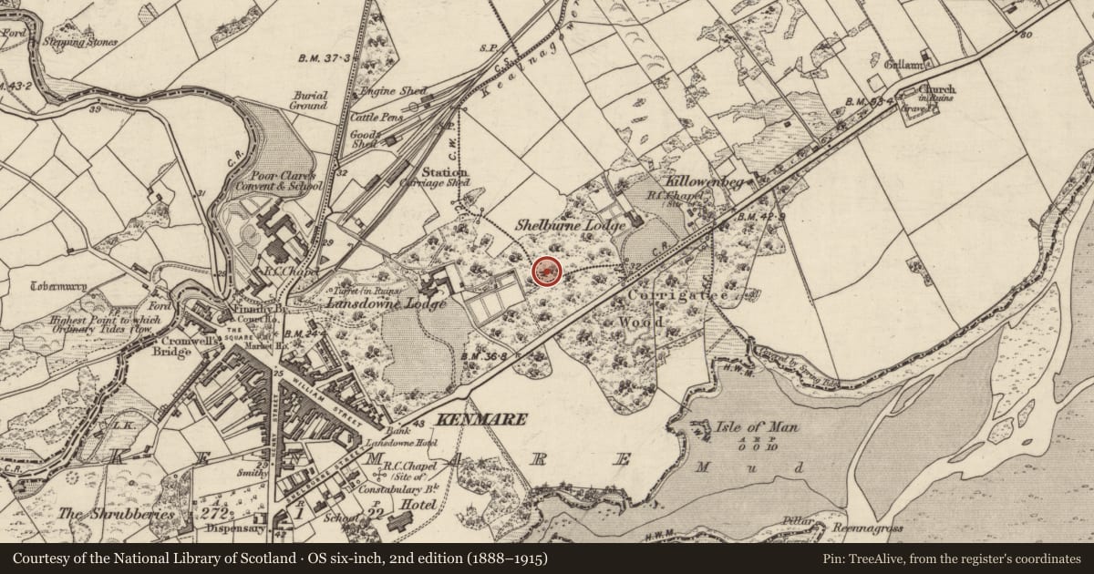 Ordnance Survey six-inch map, 2nd edition (1888–1915) covering the location of Stone row, Killowen, County Kerry, with a pin at the register's coordinates