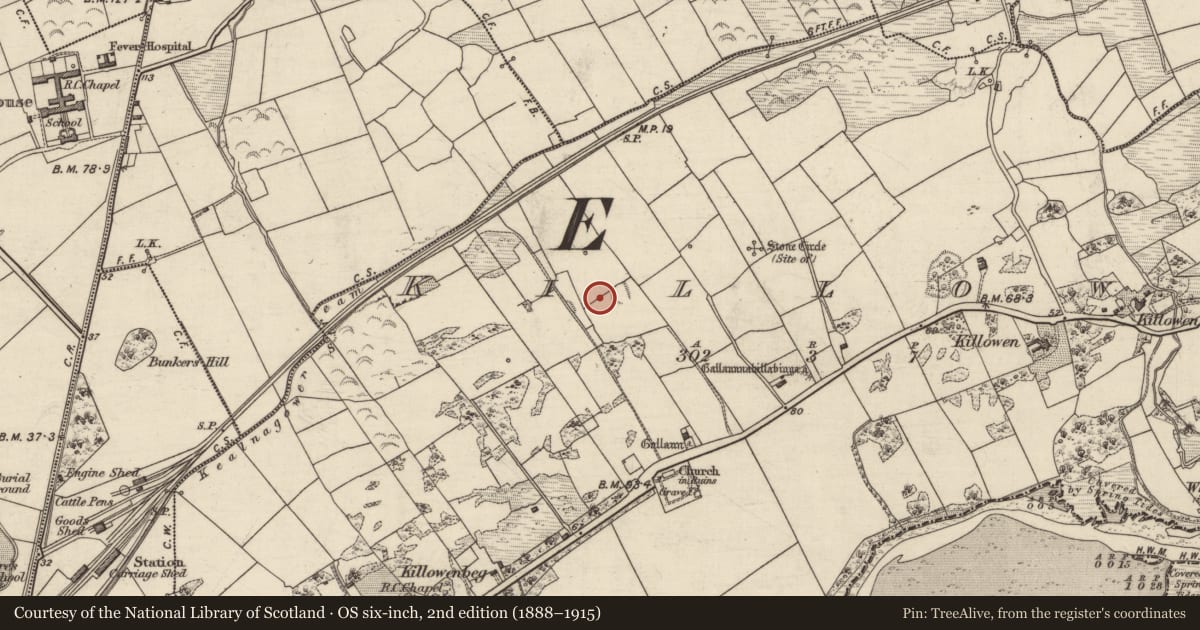 Ordnance Survey six-inch map, 2nd edition (1888–1915) covering the location of Standing stone, Killowen, County Kerry, with a pin at the register's coordinates