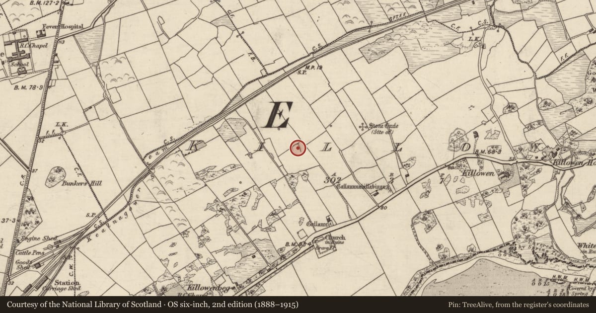 Ordnance Survey six-inch map, 2nd edition (1888–1915) covering the location of Souterrain, Killowen, County Kerry, with a pin at the register's coordinates