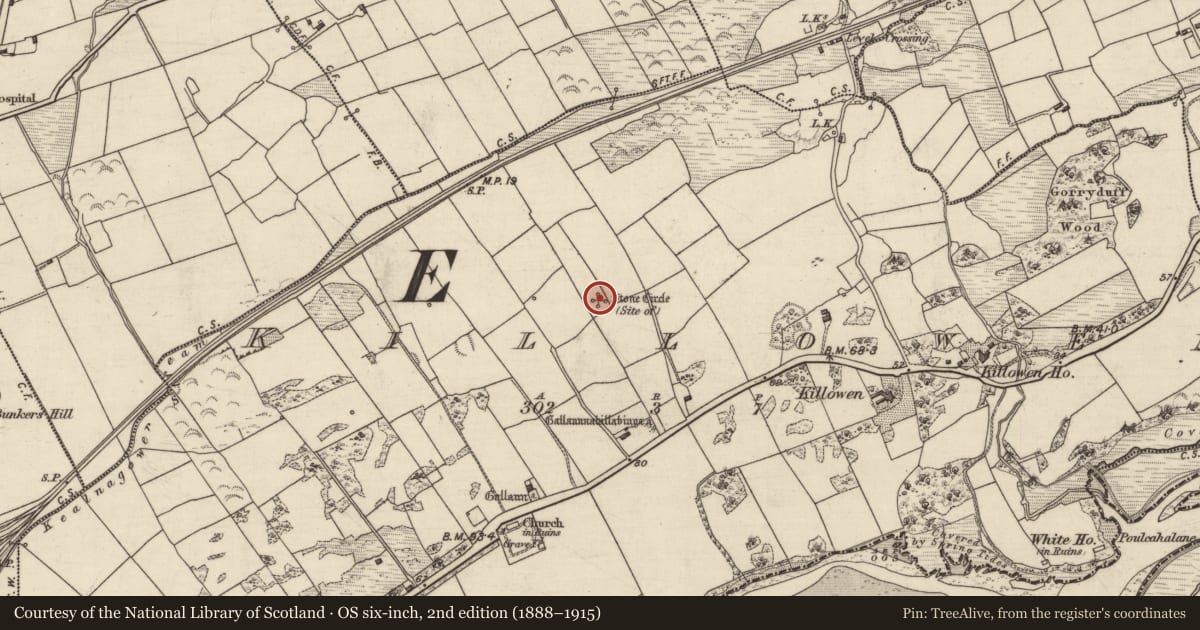 Ordnance Survey six-inch map, 2nd edition (1888–1915) covering the location of Boulder-burial, Killowen, County Kerry, with a pin at the register's coordinates