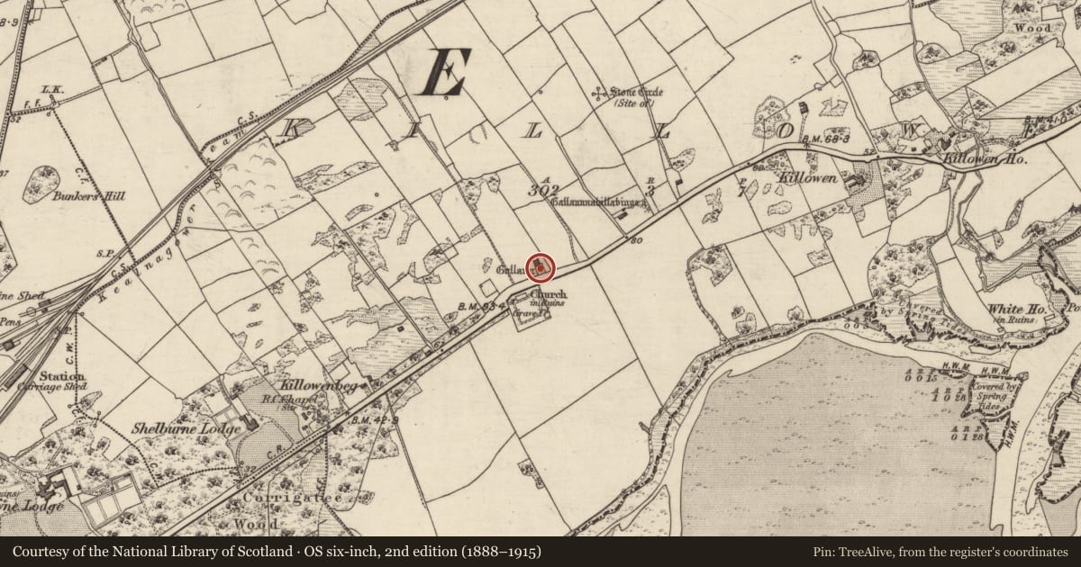 Ordnance Survey six-inch map, 2nd edition (1888–1915) covering the location of Standing stone, Killowen, County Kerry, with a pin at the register's coordinates