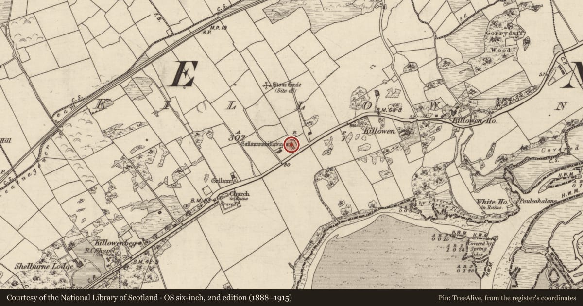 Ordnance Survey six-inch map, 2nd edition (1888–1915) covering the location of Standing stone, Killowen, County Kerry, with a pin at the register's coordinates