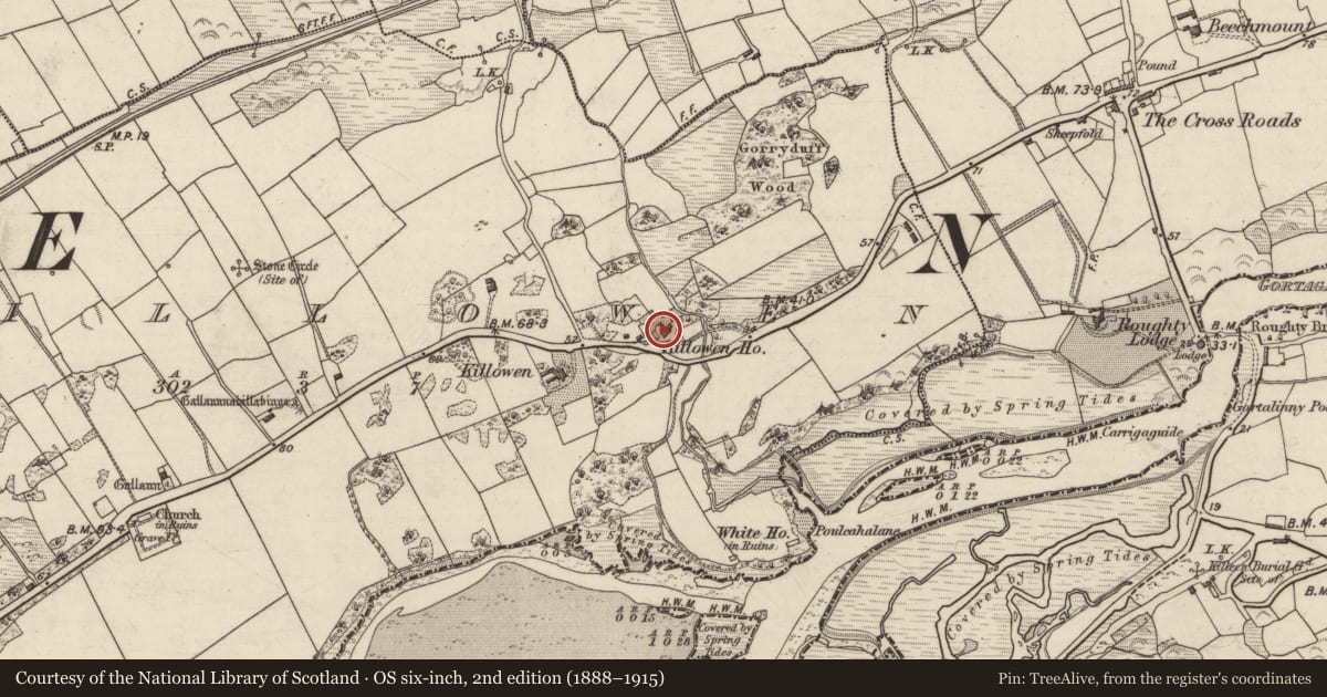 Ordnance Survey six-inch map, 2nd edition (1888–1915) covering the location of House - 16th/17th century, Killowen, County Kerry, with a pin at the register's coordinates