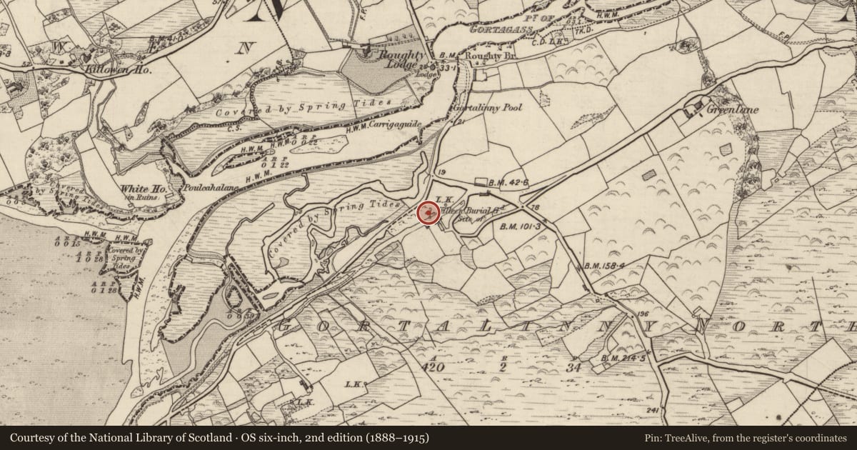 Ordnance Survey six-inch map, 2nd edition (1888–1915) covering the location of Children's burial ground, Gortalinny North, County Kerry, with a pin at the register's coordinates