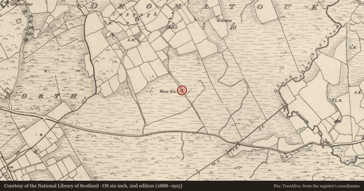 Ordnance Survey six-inch map, 2nd edition (1888–1915) covering the location of Standing stone, Dromatouk, County Kerry, with a pin at the register's coordinates