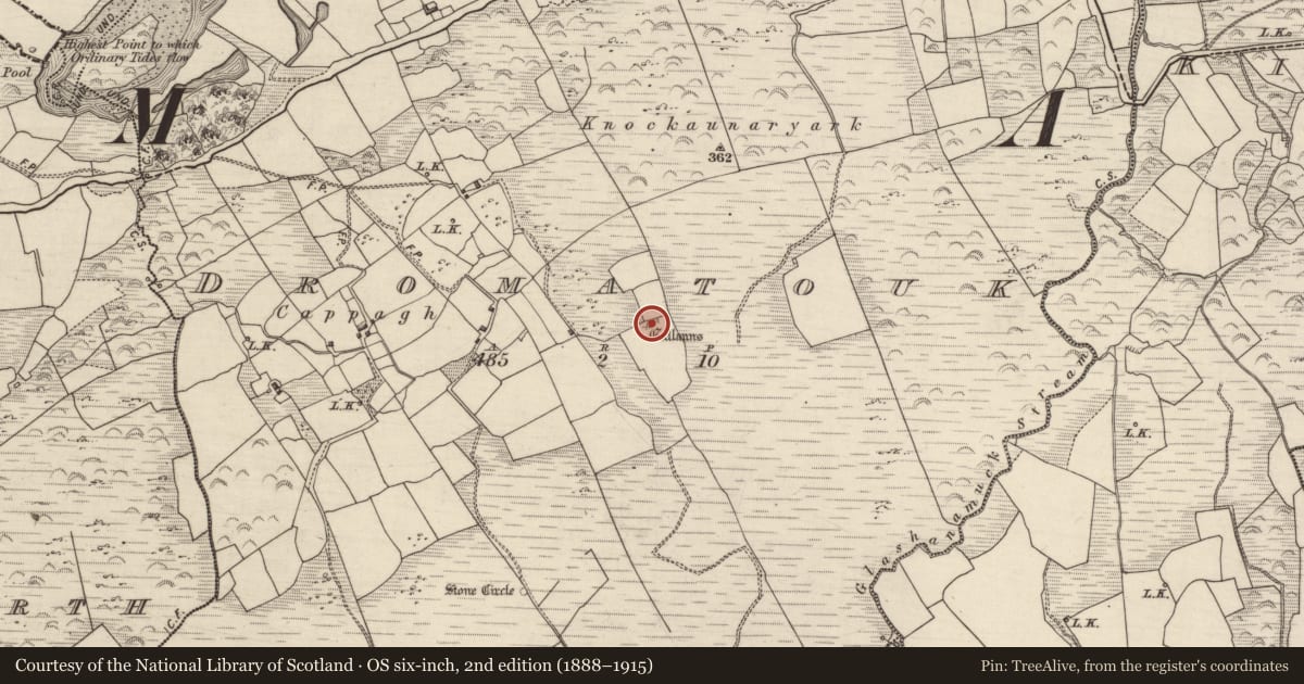 Ordnance Survey six-inch map, 2nd edition (1888–1915) covering the location of Anomalous stone group, Dromatouk, County Kerry, with a pin at the register's coordinates
